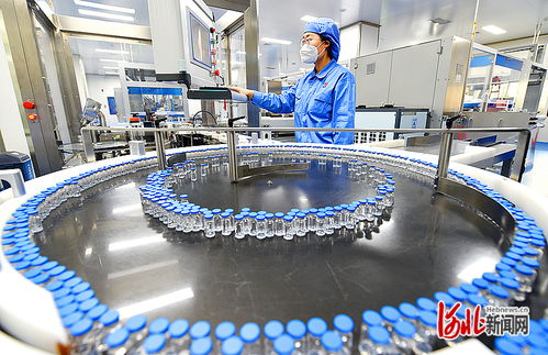 衡水新聞網(wǎng) 技術(shù)驅(qū)動(dòng)下的軟件開發(fā)與市場銷售新篇章